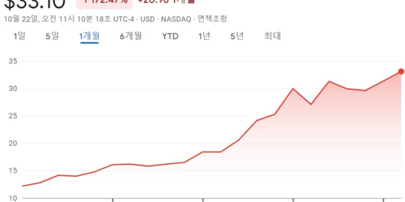 트럼프 밈 주식 투자 주의보